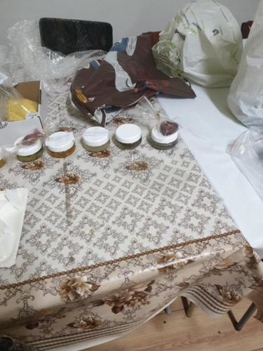 553ziolowe swietlice 2019
